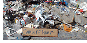 cardiff_reef_web